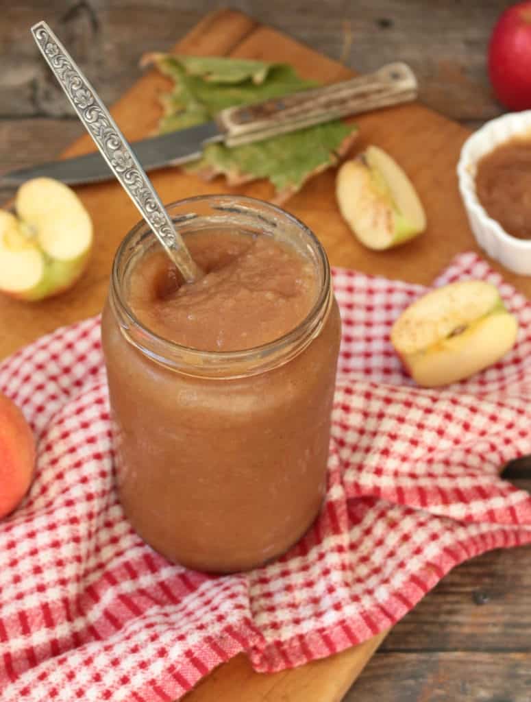 Homemade Applesauce with fresh Apples