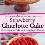 Strawberry Charlotte Cake - French Mousse Cake with ladyfinger Biscuits