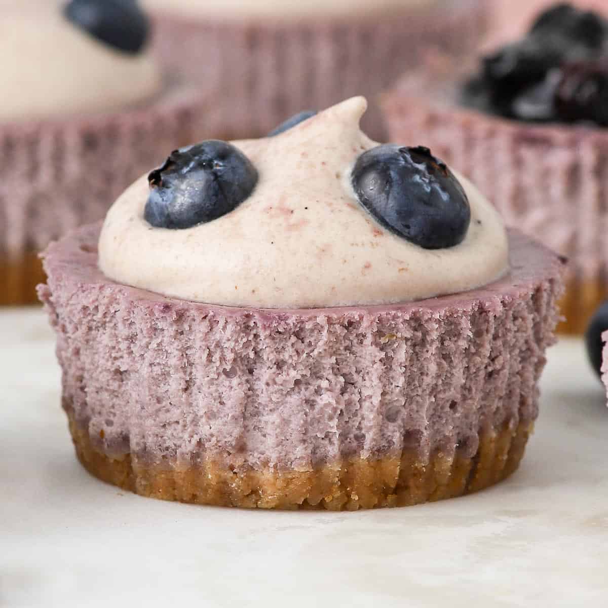 Close up on one blueberry cheesecake topped with blueberry whipped cream and fresh blueberries.