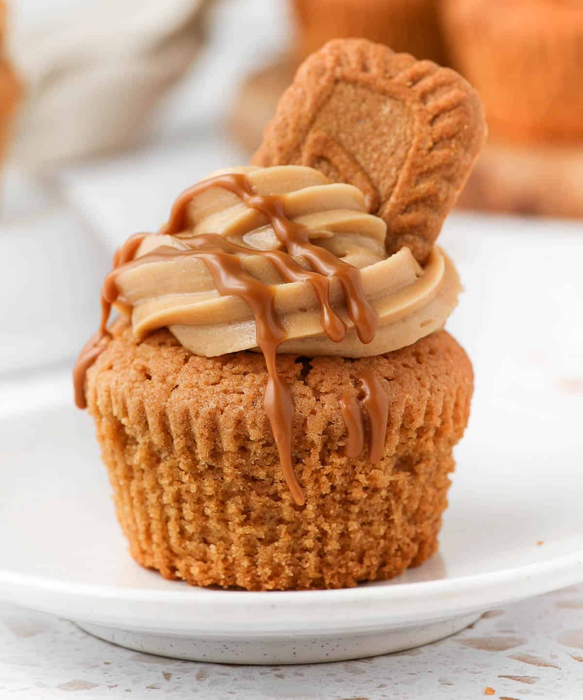 Biscoff Cupcake with cream cheese frosting, biscoff drizzle and cookie.